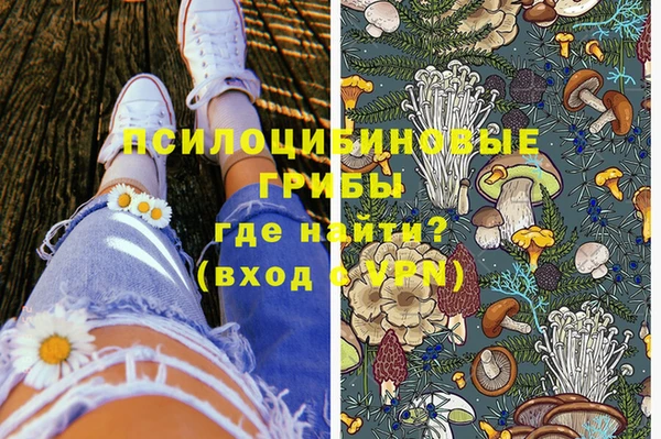 метадон Алексин