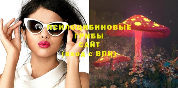 прущий лед Абаза