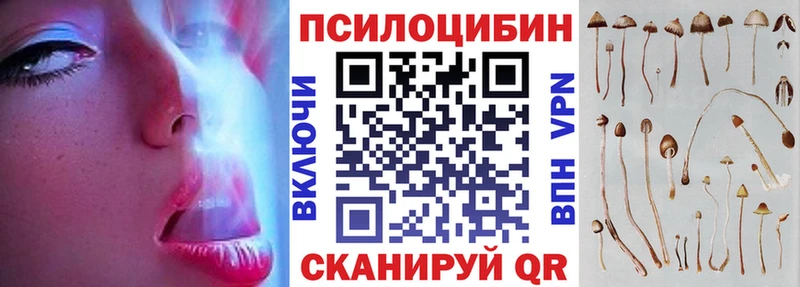 нарко площадка клад  купить наркоту  Балашиха  Псилоцибиновые грибы Psilocybine cubensis 