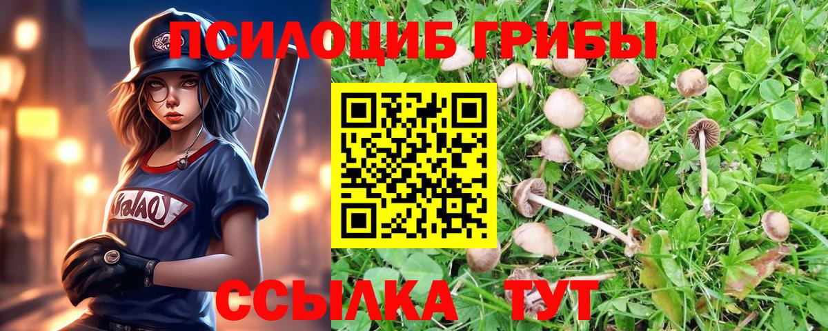 Галлюциногенные грибы мицелий Балашиха