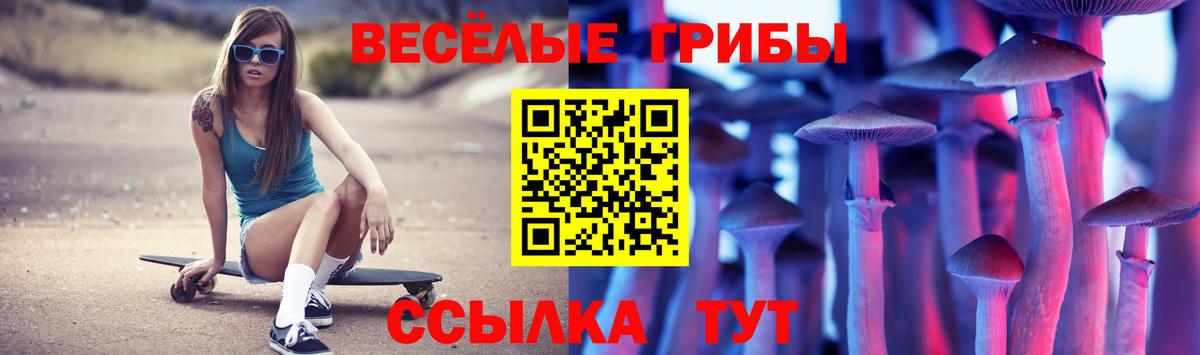 Балашиха  Галлюциногенные грибы мицелий  купить наркоту  Вход с VPN  Галлюциногенные грибы прущие грибы 
